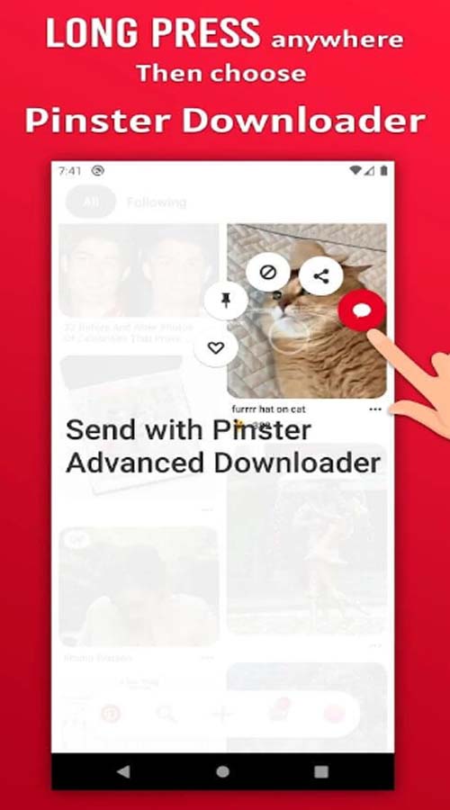Pinster Advanced Downloader 1